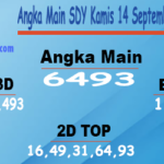 Angka Main SDY Kamis 14 September 2023