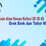 Kode Alam Hewan Kelinci 2D 3D 4D Erek Erek dan Tafsir Mimpi