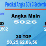 Prediksi Angka SDY 3 September 2023