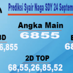 Prediksi Syair Naga SDY 24 September 2023